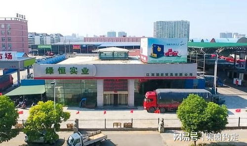 江西水果市場(chǎng)回暖,南昌深圳農(nóng)產(chǎn)品批發(fā)市場(chǎng)日銷10000余噸